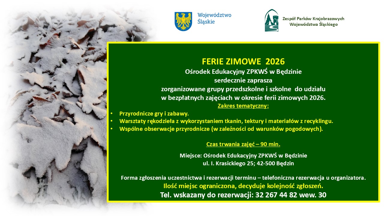 plakat informacyjny dot. zajęć feryjnych w Ośrodku Edukacyjnym ZPKWŚ w Będzinie. Plakat w orientacji poziomej. Z lewej strony zamieszczone zdjęcie ośnieżonych liści dębu. Z prawej strony zamieszczony tekst informacyjny o zajęciach feryjnych wraz z danymi tele – adresowymi. U góry kolejno od lewej znajdują się oznaczenia logotypowe w postaci znaku herbowego Województwa Śląskiego i logotyp Zespołu Parków Krajobrazowych Województwa Śląskiego.