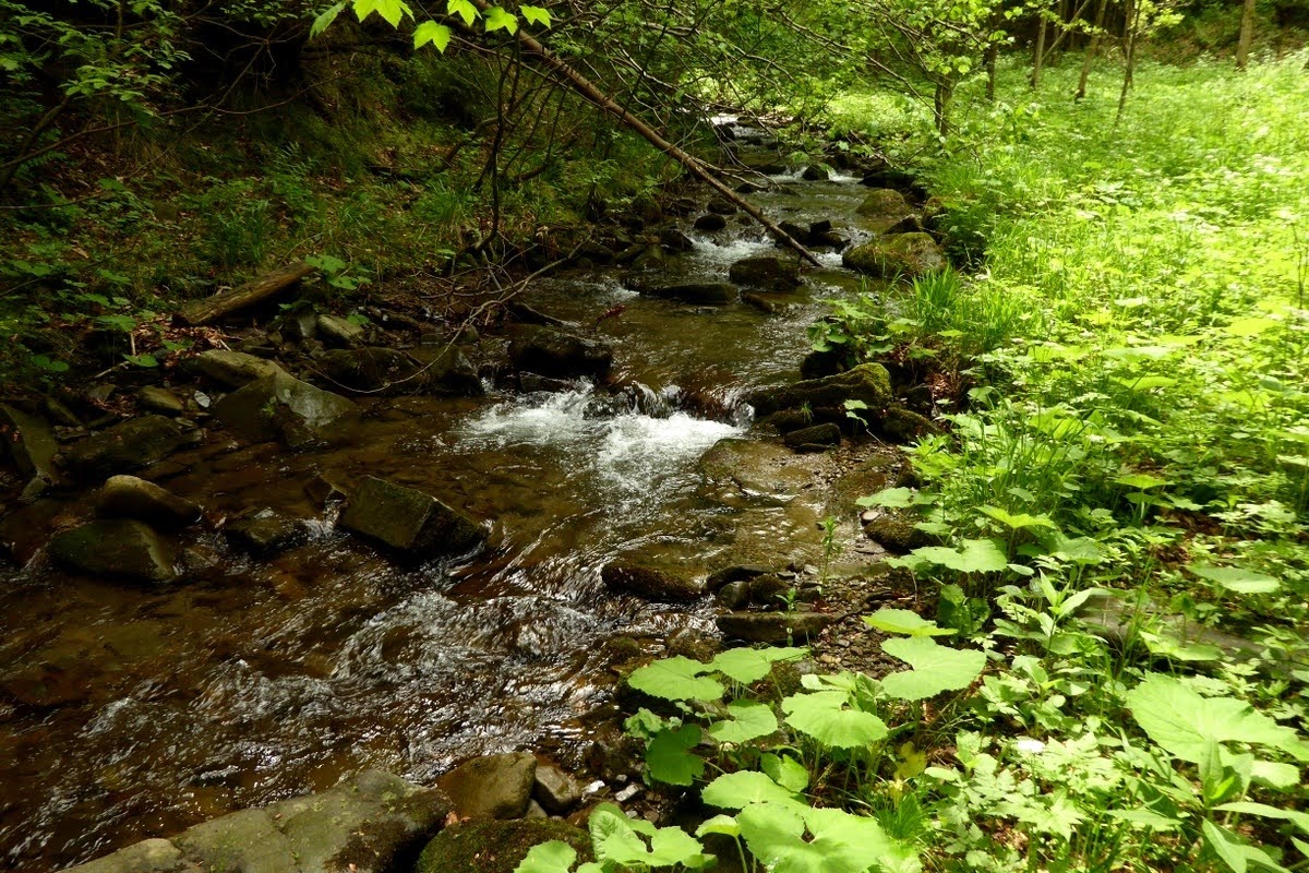 P1360754