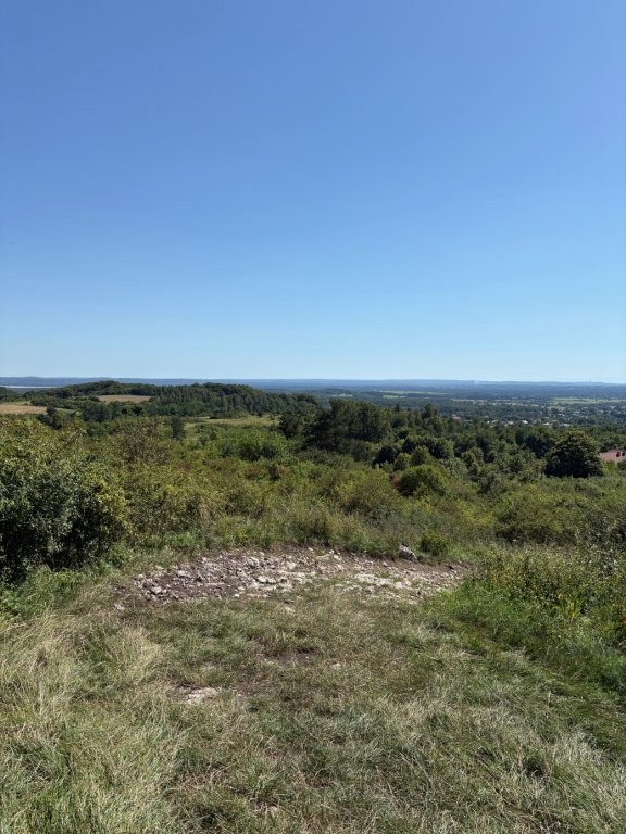 Widok ze zbocza góry na pofalowany teren porośnięty lasami i zaroślami. Na pierwszym planie widać suchą trawę i odsłonięte wapienne skały, a w oddali panoramę miejscowości.