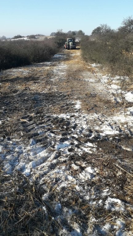 Widok na pas terenu w trakcie prac porządkowych. Widoczne ślady sprzętu (ciągnika widocznego w oddali) na błotnistej ziemi, otoczonej suchymi zaroślami.