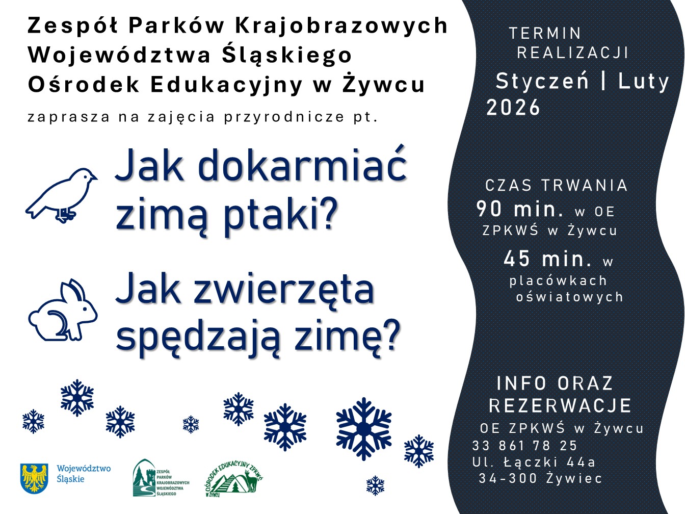 Na górze po lewej nazwa organizatora, poniżej tytuły zajęć przyrodniczych, niżej gwiazdki śniegu, na dole logotypy organizatorów. Po prawej w pionowym, pofalowanym pasie, na niebieskim tle informacje o terminie, czasie trwania oraz informacje kontaktowe.