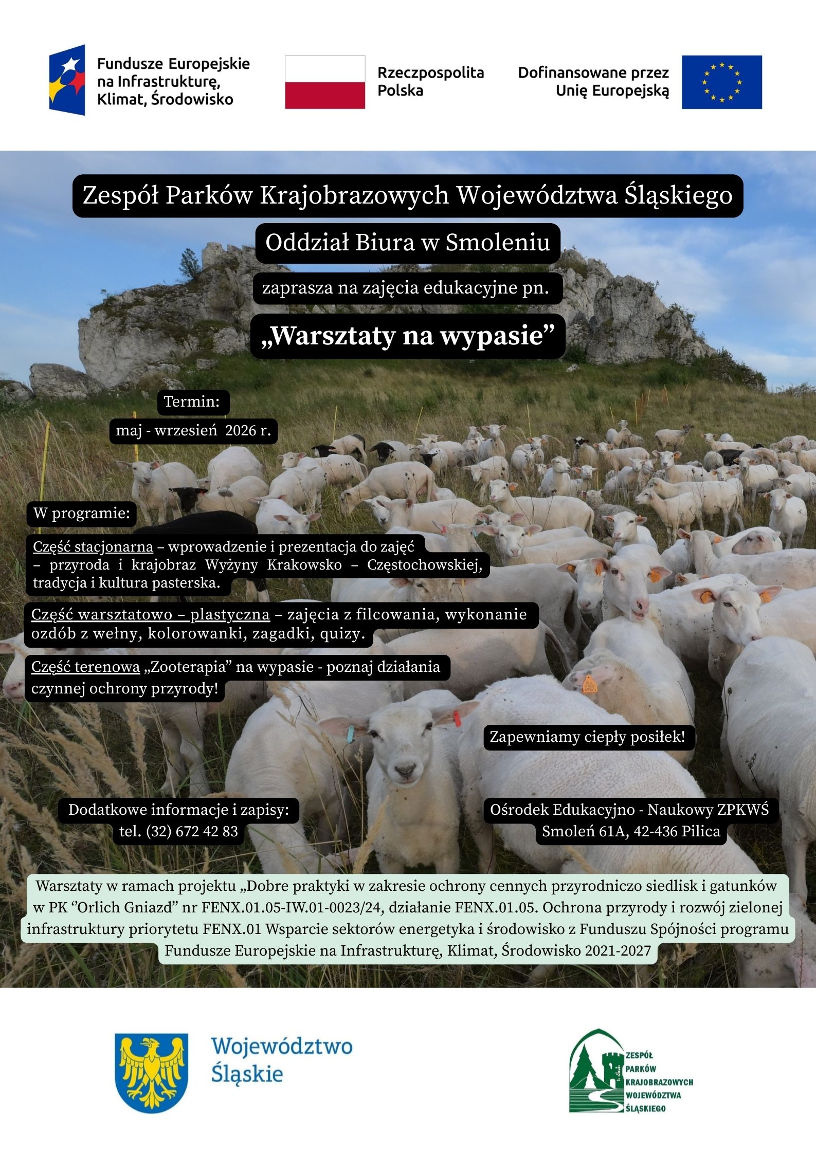 Plakat informacyjny promujący zajęcia edukacyjne „Warsztaty na wypasie”, organizowane przez Zespół Parków Krajobrazowych Województwa Śląskiego, Oddział Biura w Smoleniu. W tle fotografia stada owiec pasących się na łące pod wapiennymi skałami Wyżyny Krakowsko-Częstochowskiej. Na górze logotypy: Fundusze Europejskie, Rzeczpospolita Polska oraz Unia Europejska. Na plakacie podano termin warsztatów: maj–wrzesień 2026 r. Program obejmuje część stacjonarną (wprowadzenie, przyroda i krajobraz Wyżyny Krakowsko-Częstochowskiej, tradycja i kultura pasterska), część warsztatowo-plastyczną (filcowanie, wykonywanie ozdób z wełny, kolorowanki, zagadki i quizy) oraz część terenową – „zooterapię” na wypasie i poznawanie działań czynnej ochrony przyrody. Informacja o zapewnionym ciepłym posiłku. Dane kontaktowe do zapisów: telefon (32) 672 42 83. Miejsce: Ośrodek Edukacyjno-Naukowy ZPKWŚ, Smoleń 61A, 42-436 Pilica. Na dole informacja o realizacji projektu w ramach Funduszy Europejskich oraz logotypy Województwa Śląskiego i Zespołu Parków Krajobrazowych Województwa Śląskiego. #FunduszeEuropejskie#FunduszeUE#ZPKWŚ #Przyroda