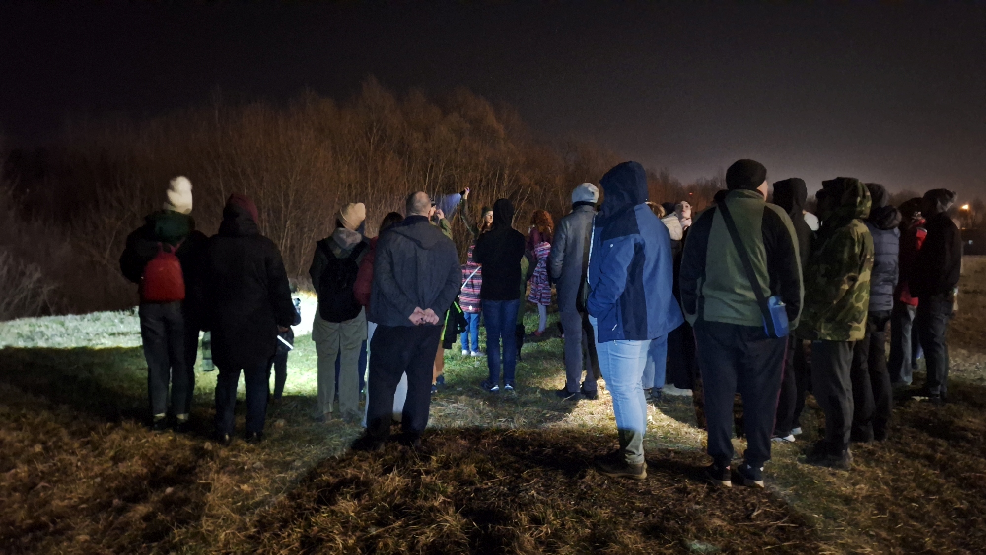 Grupa osób w ciemnościach stoi w otwartym terenie i nasłuchuje sów.