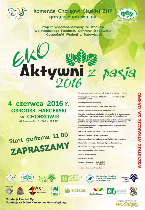 projekt_plakat_krzywe
